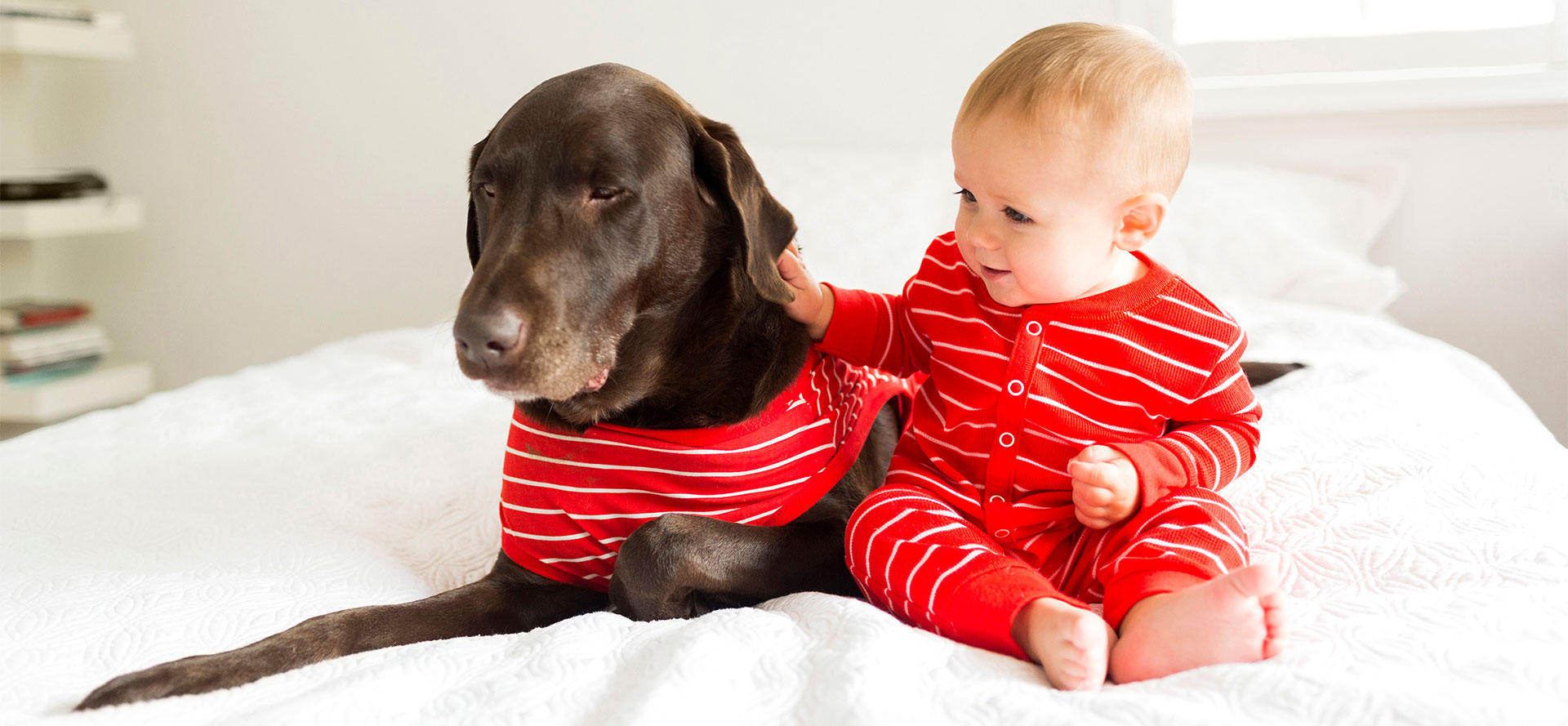 Doggie Pajamas.