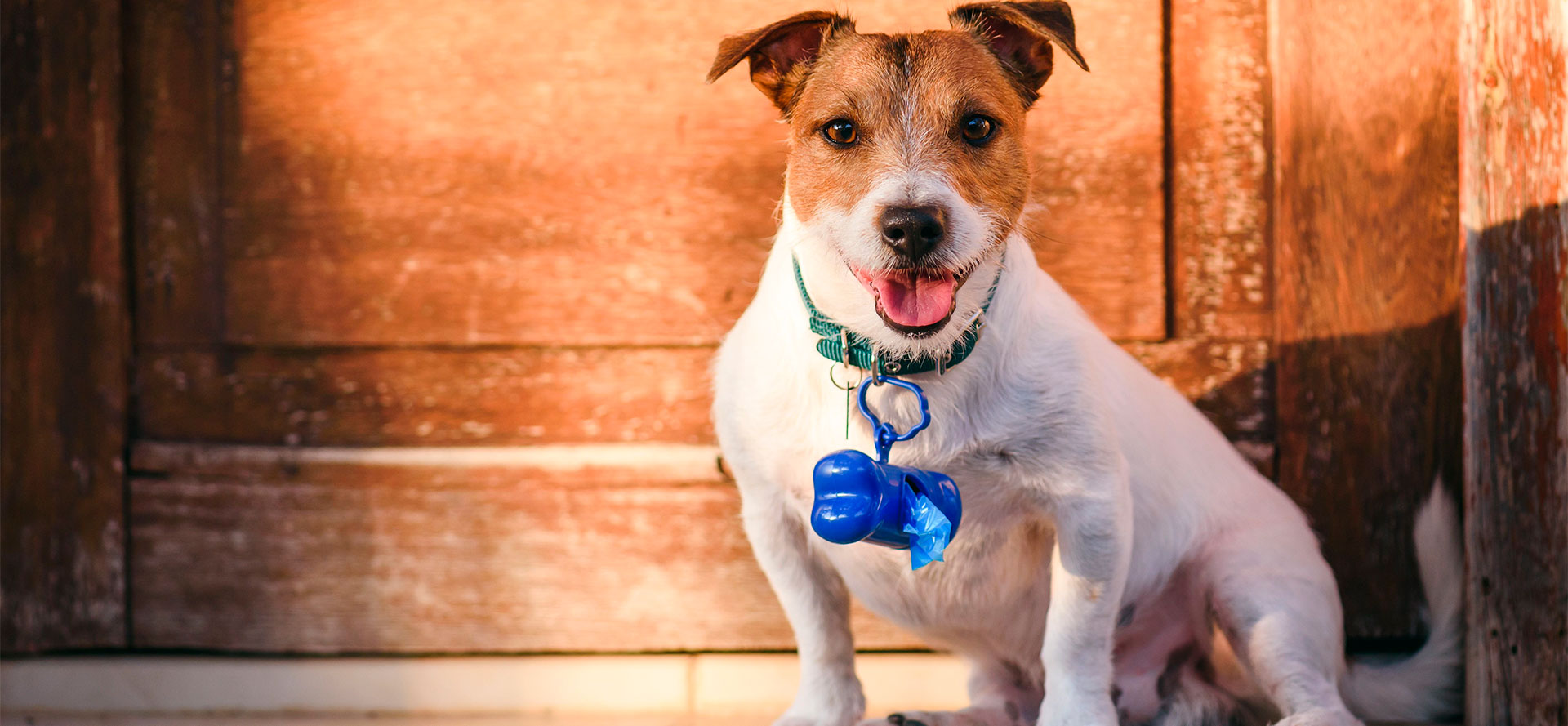 Doggie Poop Bags.