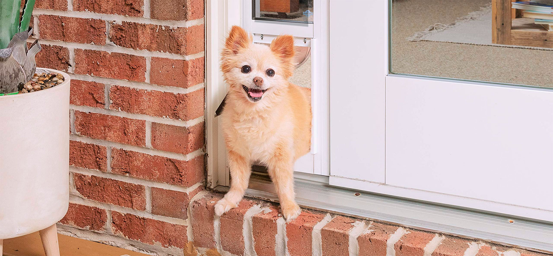 Dog Doors.