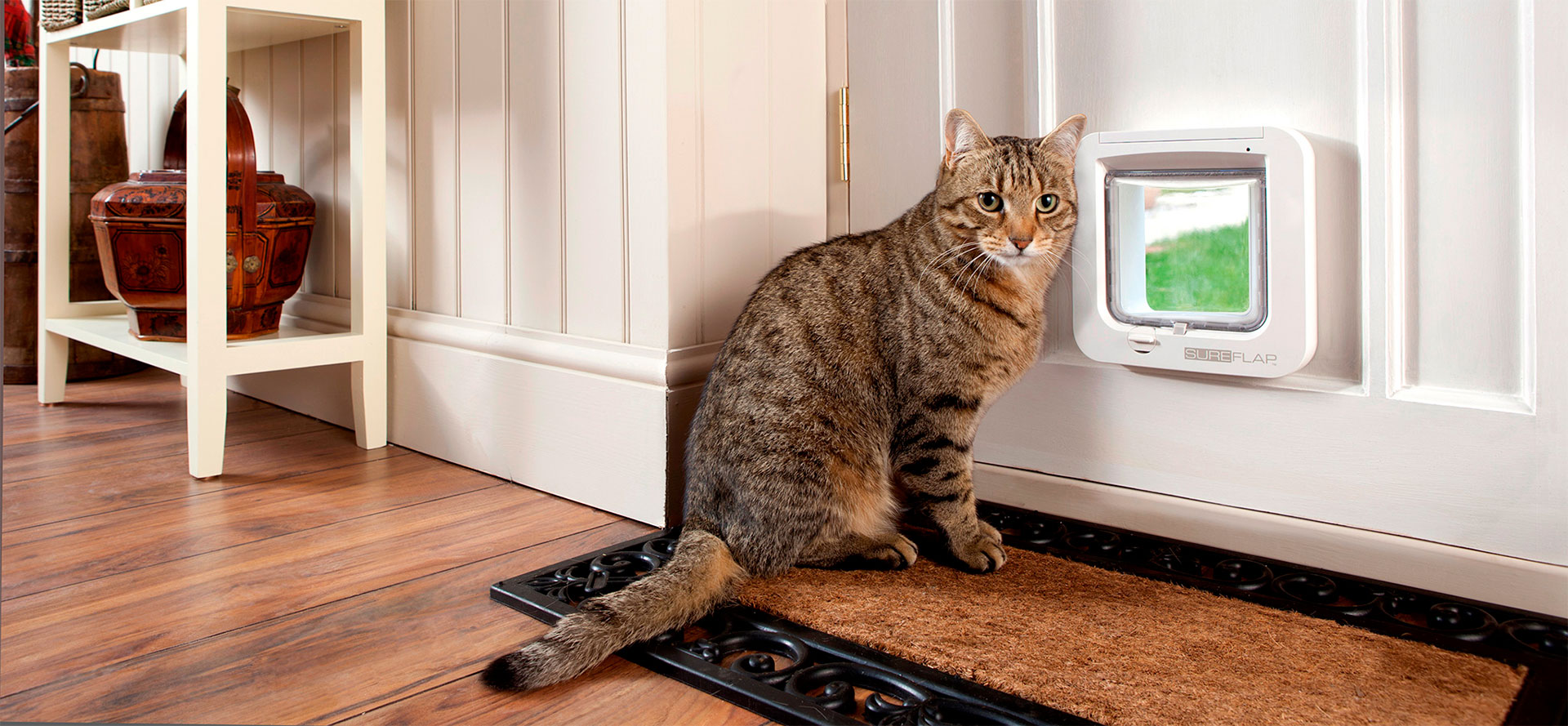 Doors for Small Cat.