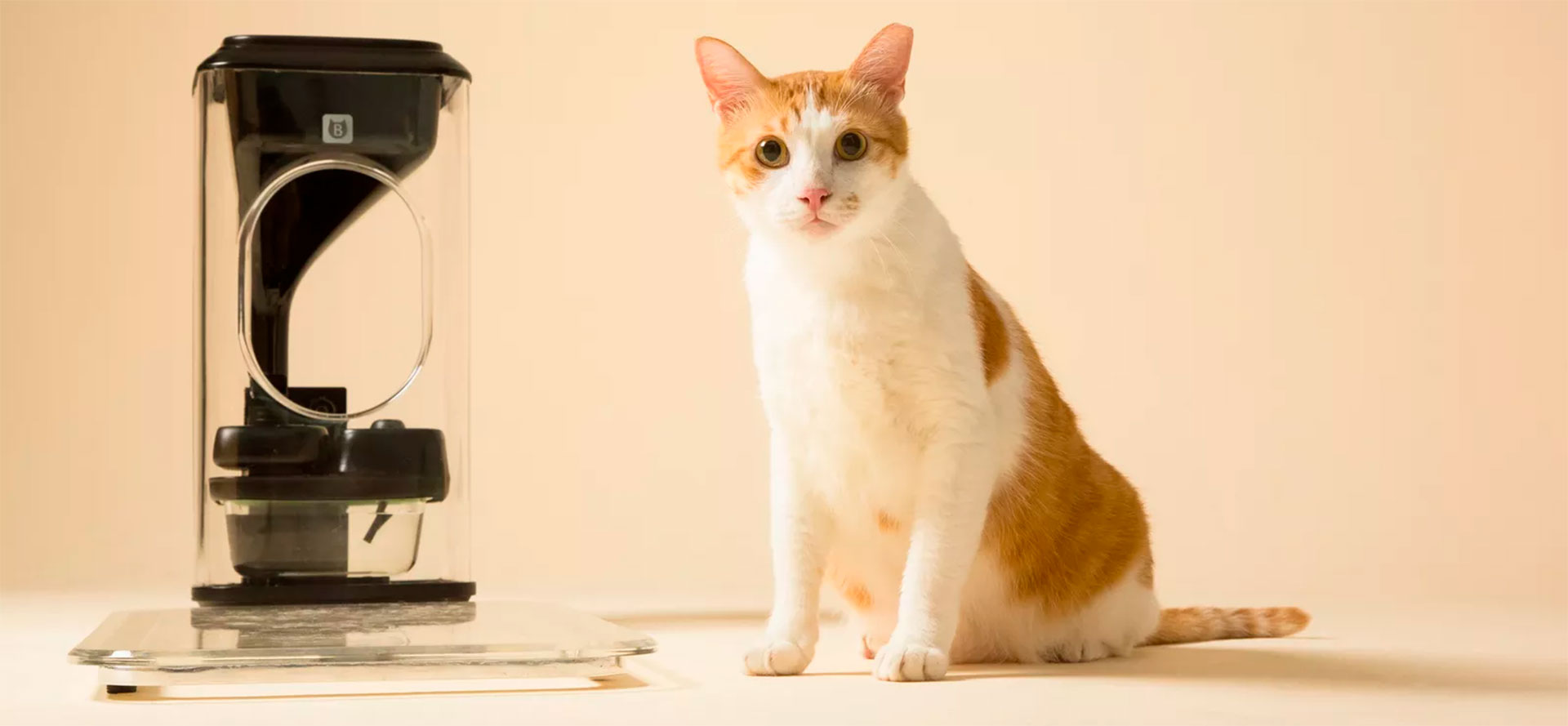 Dry Food Automatic Cat Feeder.