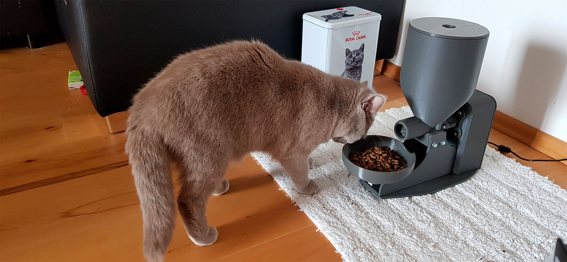 Elevated Cat Feeder.