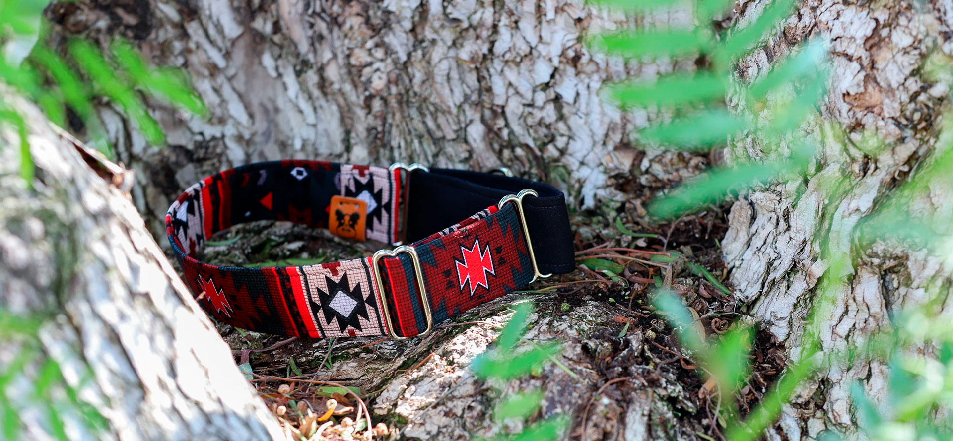 Embroidered Dog Collars.