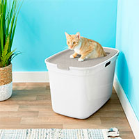 Frisco Top Entry Cat Litter Box.