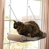 K&H Pet Products EZ Mount Window Cat Scratcher