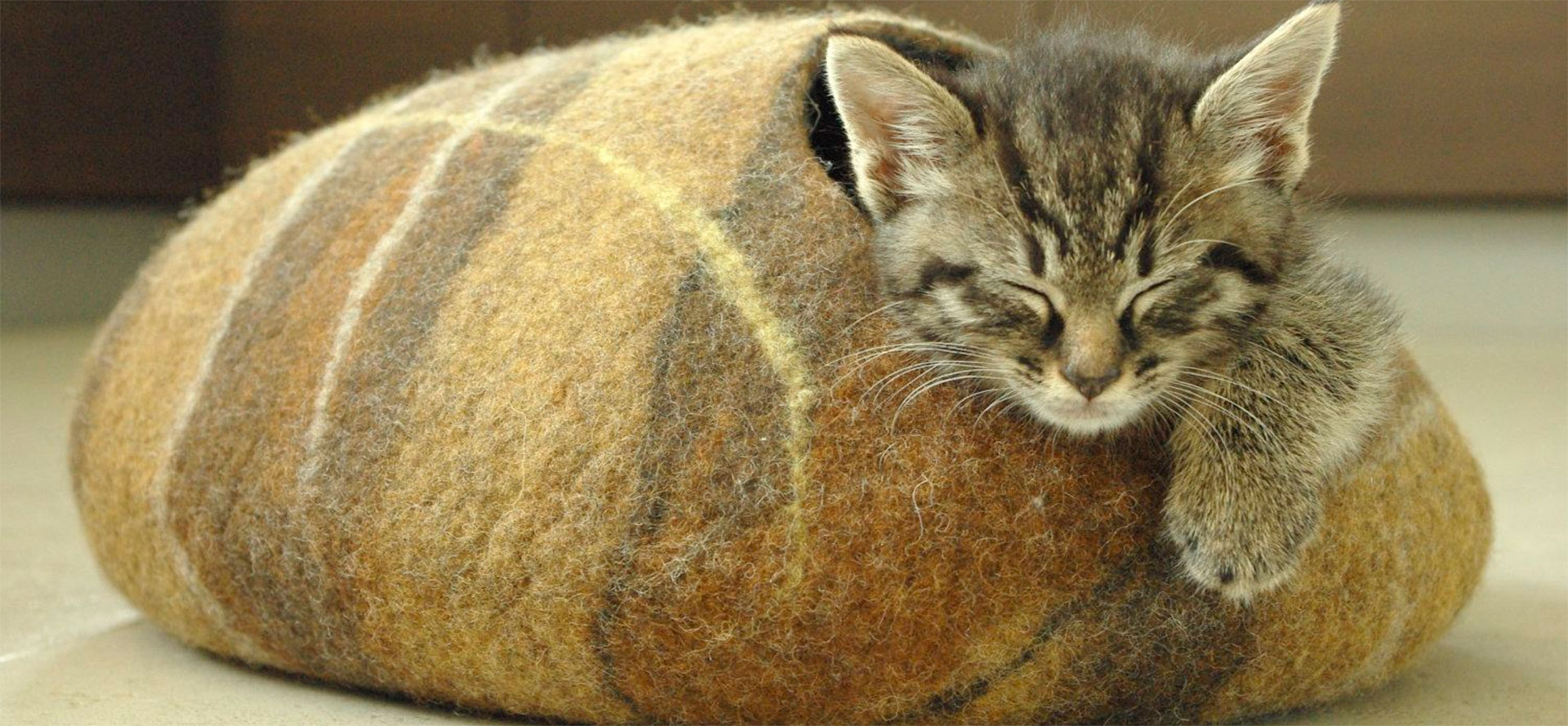 Felted Cat House.