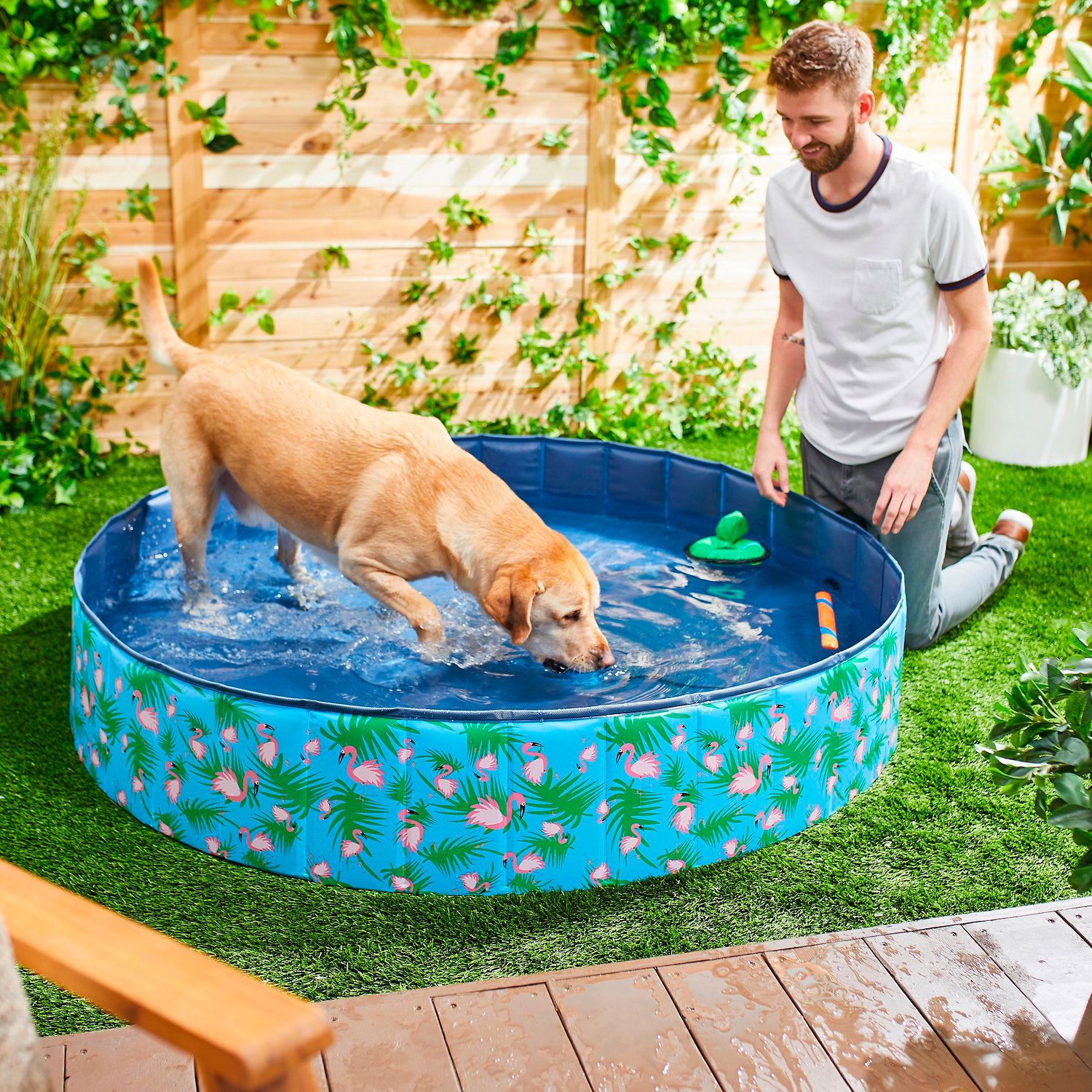 Frisco Outdoor Dog Swimming Pool.