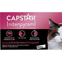 Capstar Flea Oral Treatment for Cats.