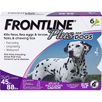 Frontline Plus Flea & Tick Treatment for Large Dogs.