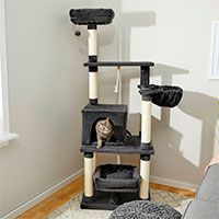 Frisco 66-in Cat Tree with Bed.