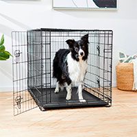 Frisco Double Door Collapsible Wire Dog Crate.