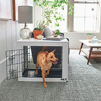 Frisco Double Door Furniture Style Dog Crate.