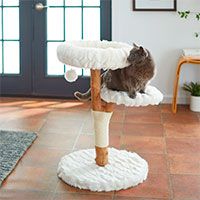 Frisco Natural Wood Modern Cat Tree with Toy.