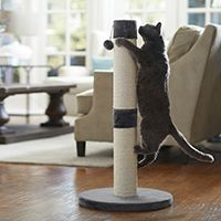 Frisco 35-in Heavy Duty Sisal Cat Scratching Post with Toy