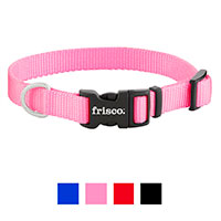 Frisco Solid Nylon Dog Collar.