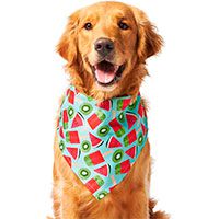 Tie on or Snap Size XS-XL Dog Bandana Peachy Watercolor Sunset Your Choice of Bandana Over Collar 