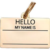 Hello My Name Pet ID Tag.