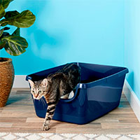 Frisco High Sided Cat Litter Box.