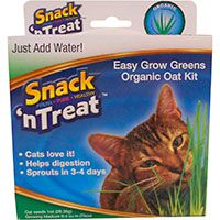 Imperial Cat Easy Grow Cat Oat Grass Kit.