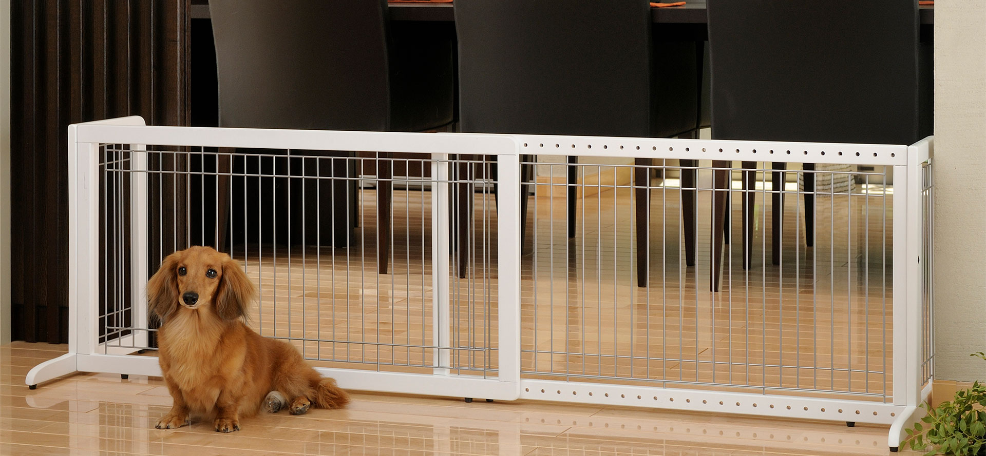 Indoor dog gate.