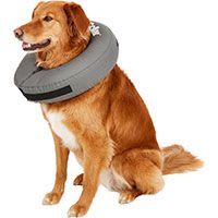 Inflatable Recovery Dog & Cat Collar.