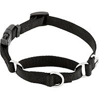 Frisco Martingale Dog Collar with Buckle.