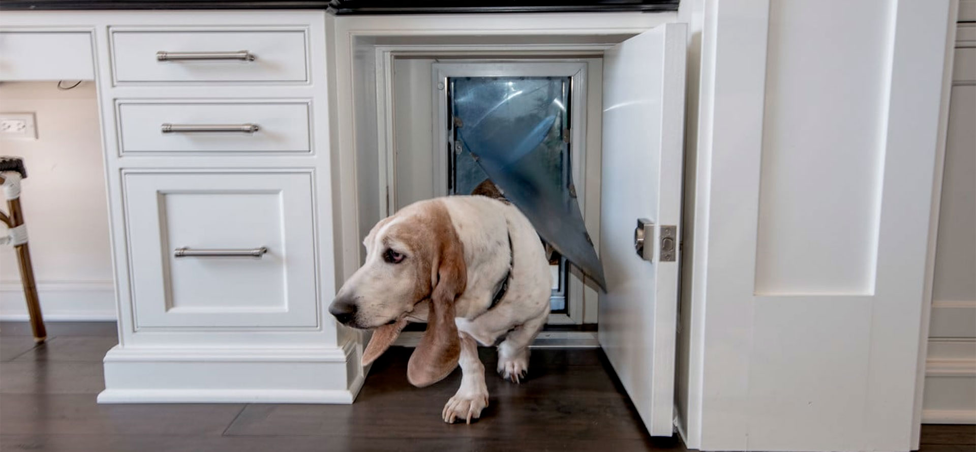 Medium Dog Door.