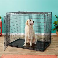 MidWest Double Door Wire Dog Crate.