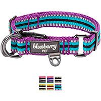 Blueberry Multi-Colored Stripe Dog Collar.