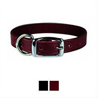 OmniPet Latigo Leather Dog Collar.