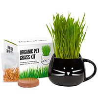 The Cat Ladies Organic Pet Grass.