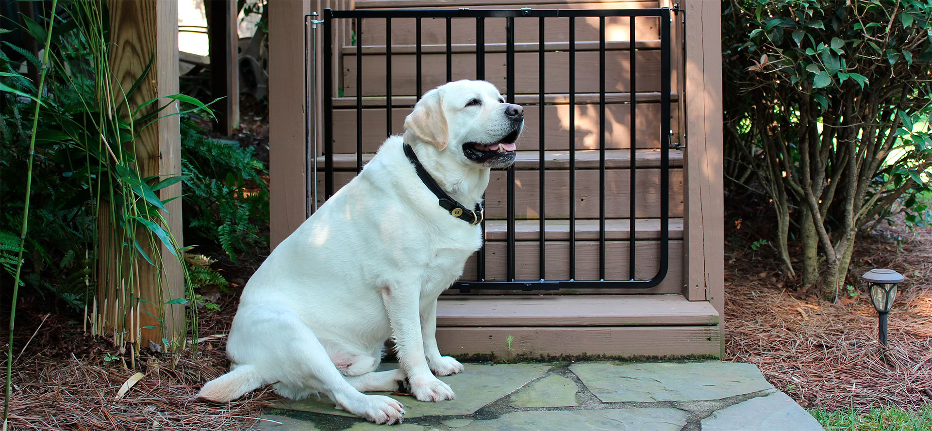 Outdoor dog gate.