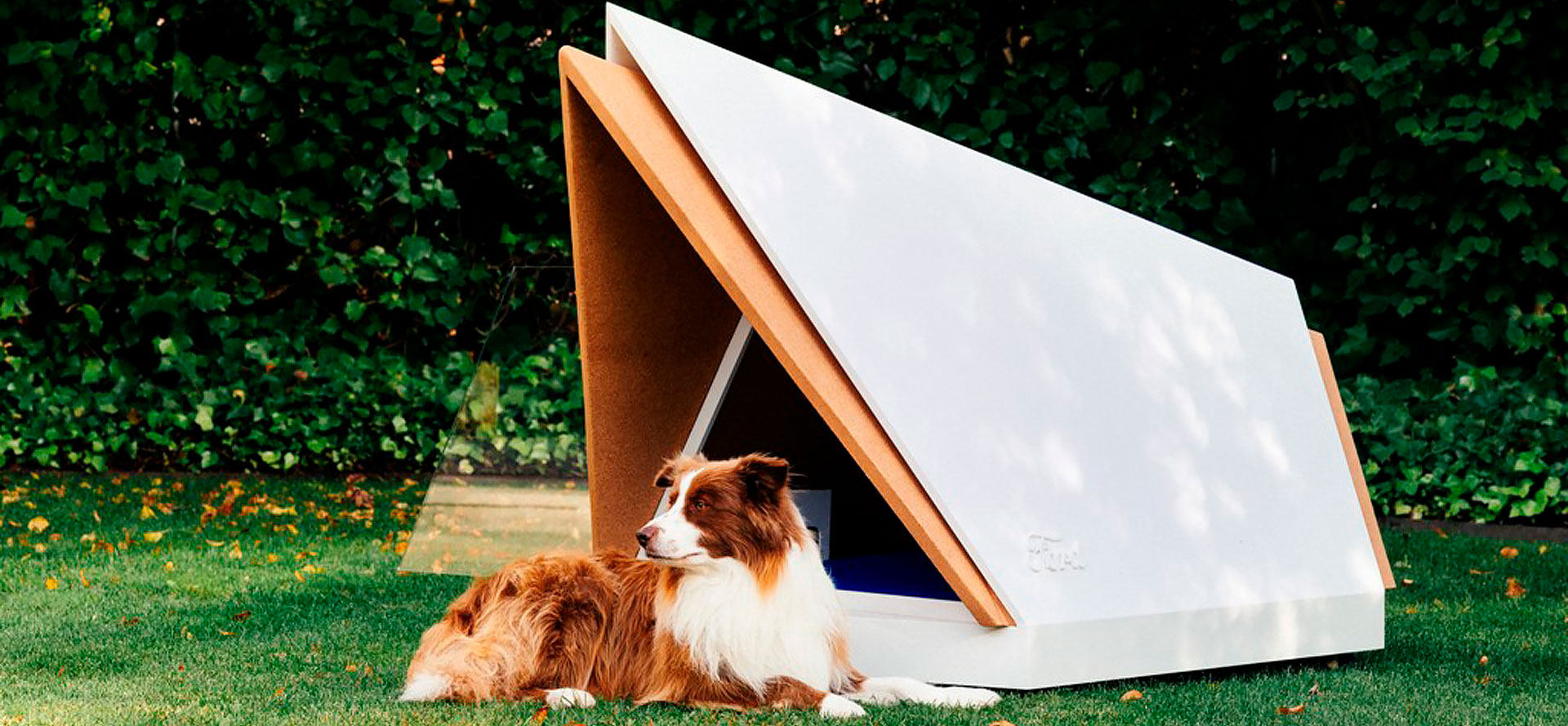 Outdoor Dog House.