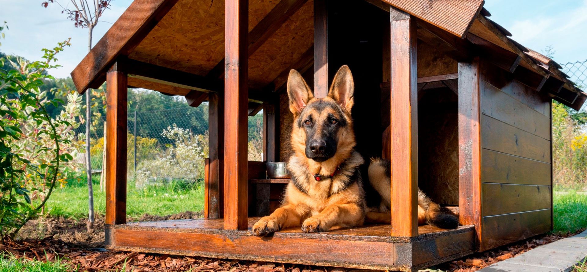 Outdoor Dog Kennels.