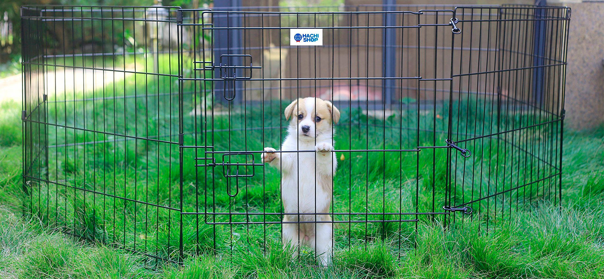 Outdoor Playpen for Dog.