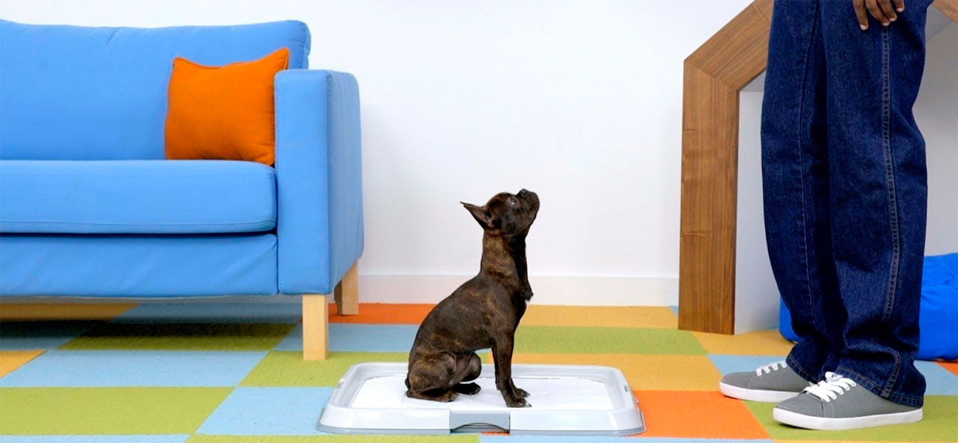 what are the best puppy pee pads