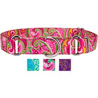 Country Brook Polyester Martingale Dog Collar.