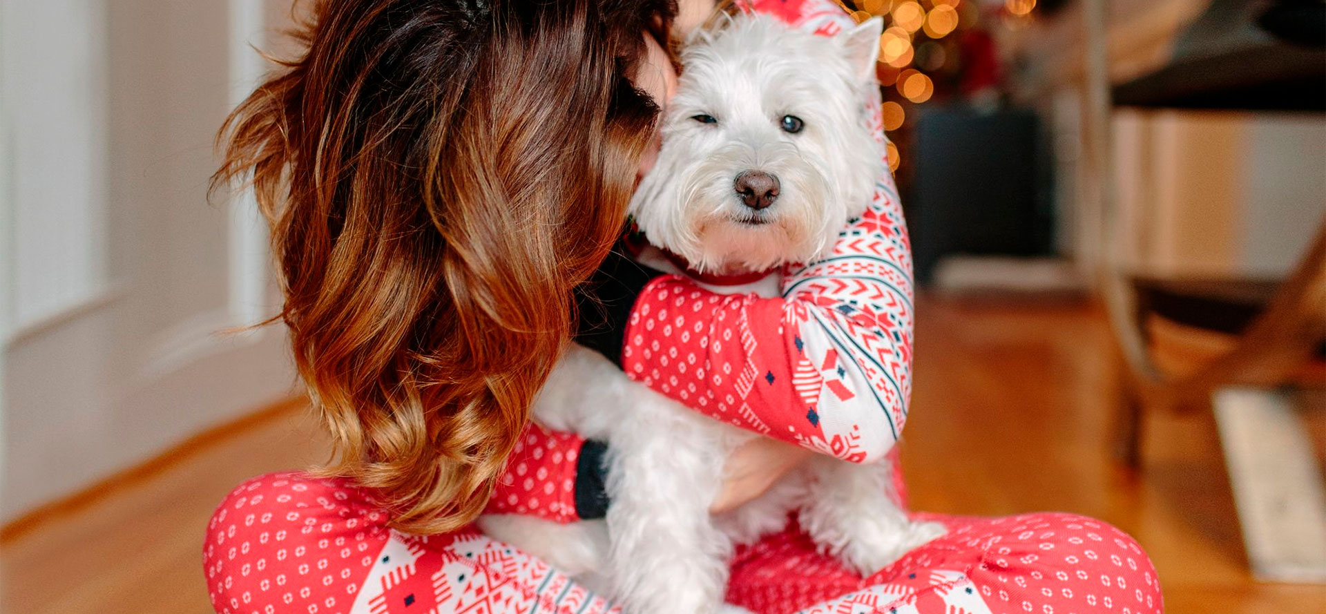 Pajamas for Dogs.