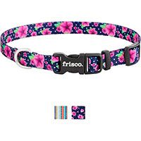 Frisco Patterned Polyester Dog Collar.