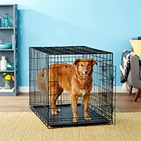 Paws & Pals Double Door Wire Dog Crate.