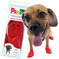 Pawz Waterproof Dog Boots.
