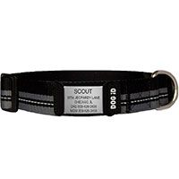 The Rock Solid Personalized ID Tag Dog Collar.