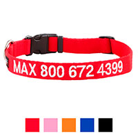 Best Choice - GoTags Personalized Nylon Dog Collar.