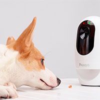 Pawbo+ Pet Camera and Treat Dispenser.