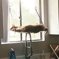 K&H Pet Products EZ Mount Cat Window Perch.