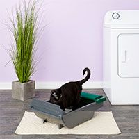 Pet Zone Smart Scoop Automatic Self-Cleaning Cat Litter Box.