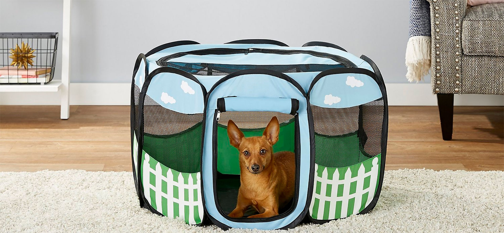 Playpens for Small Dog.