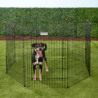 Precision Pet Products Wire Dog Pen with Door.