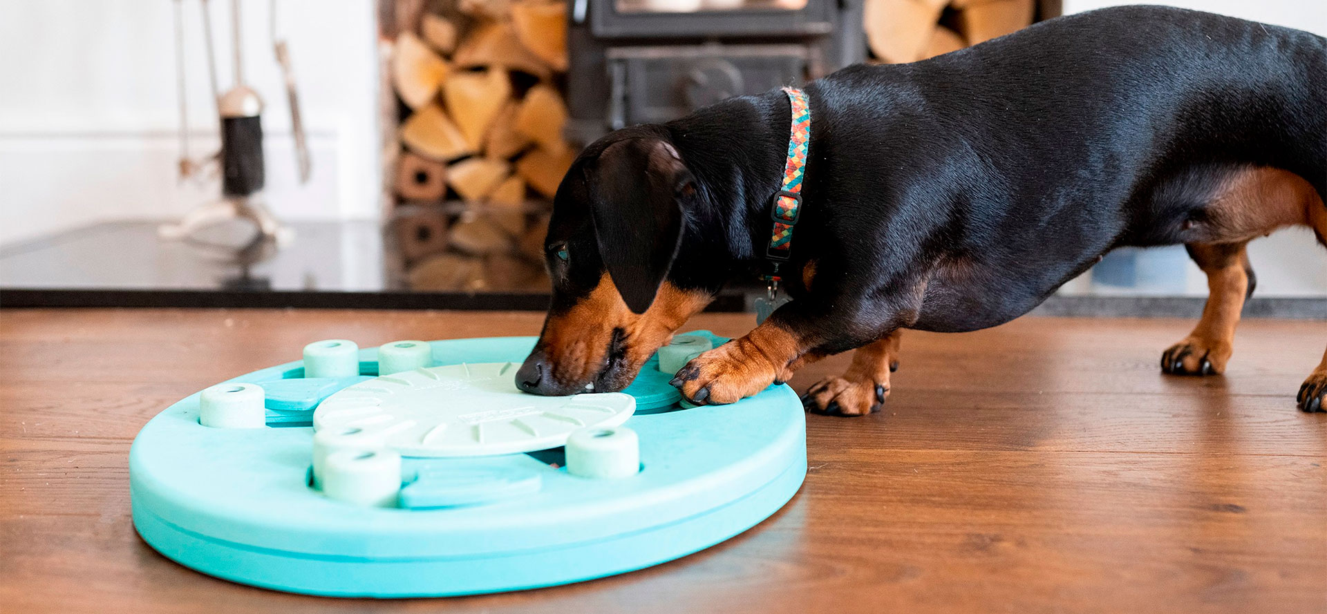 Puppy Puzzle Toys.