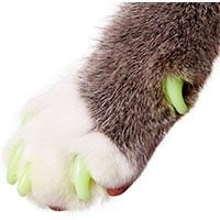 Purrdy Paws Soft Cat Nail Caps.